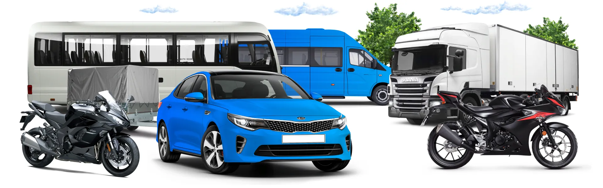 Купить права